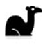 orange camel tariff